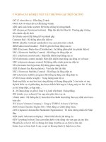 Ý NGHĨA CÁC KÝ HIỆU VIẾT TẮT TRÊN XE Ô TÔ