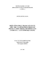 phân tích thực trạng sản xuất, tiêu thụ và kênh phân phối sản phẩm cá thịt trong mô hình luân canh lúa – cá ở tỉnh hậu giang