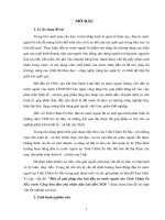 Luận văn thạc sĩ  một số giải pháp thu hút đầu tư nước ngoài vào tỉnh chăm pa sắc, nước cộng hòa dân chủ nhân dân lào đến 2020 