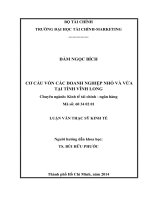 CƠ cấu vốn các DOANH NGHIỆP NHỎ và vừa tại TỈNH VĨNH LONG 