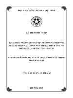 Tóm tắt tiến sĩ nông nghiệp khai thác nguồn gen ngô địa phương và nhập nội phục vụ chọn tạo giống ngô nếp lai thích ứng với điều kiện canh tác tỉnh lào cai