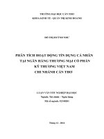 phân tích hoạt động tín dụng cá nhân tại ngân hàng thương mại cổ phần kỹ thương việt nam chi nhánh cần thơ