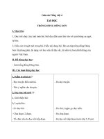 Giáo án tiếng việt 4 tuần 20 bài tập đọc   trống đồng đông sơn