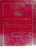 Đầu tư trực tiếp nước ngoài vào du lịch việt nam – thực trạng và giải pháp 