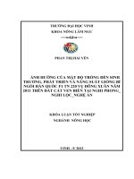 Ảnh hưởng của mật độ trồng đến sinh trưởng, phát triển và năng suất giống bí ngồi Hàn Quốc F1 TN 220 vụ đông xuân năm 2011 trên đất cát ven biển tại Nghi Phong  Nghi Lộc  Nghệ An