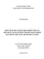 phân tích thực trạng hoạt động cho vay tiêu dùng tại ngân hàng thương mại cổ phần đại chúng việt nam, chi nhánh cần thơ