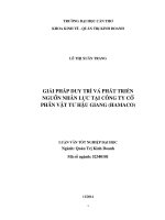 giải pháp duy trì và phát triển nguồn nhân lực tại công ty cổ phần vật tư hậu giang (hamaco)