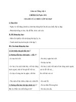 Giáo án tiếng việt 4 tuần 20 bài chính tả   nghe   viết cha đẻ của chiếc lốp xe đạp  phân biệt trch, uôtuôc