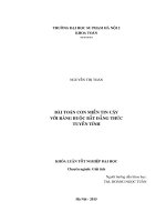 Bài toán con miền tin cậy với ràng buộc bất đẳng thức tuyến tính (KL07458)