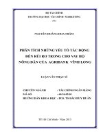 PHÂN TÍCH NHỮNG YẾUTỐ tác ĐỘNG đến rủi RO TRONG CHO VAY hộ NÔNG dân của AGRIBANK VĨNH LONG 