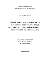 phân tích hoạt động cho vay đối với các doanh nghiệp vừa và nhỏ tại ngân hàng phát triển nhà đồng bằng sông cửu long chi nhánh cần thơ