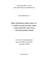 phân tích hoạt động cho vay cá nhân tại ngân hàng tmcp ngoại thương việt nam chi nhánh đồng tháp