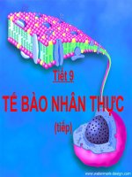 bài 9 tế bào nhân thực tiết 2