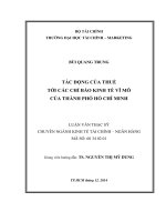 TÁC ĐỘNG của THUẾ tới các CHỈ báo KINH tế vĩ mô của THÀNH PHỐ hồ CHÍ MINH 