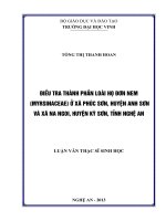 Điều tra thành phần loài họ đơn men (Myrsinaceae) ở xã Phúc Sơn, huyện Anh Sơn và xã Na Ngoi, huyện Kỳ Sơn, tỉnh Nghệ An