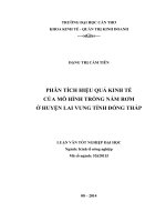 phân tích hiệu quả kinh tế của mô hình trồng nấm rơm ở huyện lai vung tỉnh đồng tháp