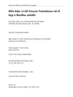 Thạc sỹ sinh học biểu hiện và tiết enzym nattokinase tái tổ hợp ở bacillus subtilis 