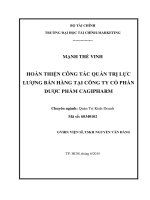 Luận văn thạc sĩ hoàn thiện công tác quản trị lực lượng bán hàng tại công ty cổ phần dược phẩm cagipharm 