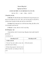 Giáo án tiếng việt 4 tuần 22 bài tập làm văn   luyện tập miêu tả các bộ phận của cây cối