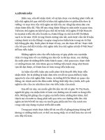 hực chất của bỏ qua chế độ tư bản chủ nghĩa tiến lên chủ nghĩa xã hội ở việt nam 