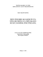 phân tích hiệu quả kinh tế của nông hộ trồng lúa trên địa bàn huyện tam bình, tỉnh vĩnh long