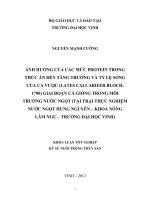 Ảnh hưởng của các mức protein trong thức ăn đến tăng trưởng và tỷ lệ sống của Cá vược (Lates calcarifer Bloch, 1790) giai đoạn cá giống trong môi trường nước ngọt