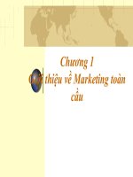 Marketing toàn cầu chương 1 giới thiệu về marketing toàn cầu 