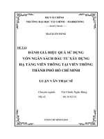 ĐÁNH GIÁ HIỆU QUẢ sử DỤNG vốn NGÂN SÁCH đầu tư xây DỰNG hạ TẦNG VIỄN THÔNG tại VIỄN THÔNG THÀNH PHỐ hồ CHÍ MINH 