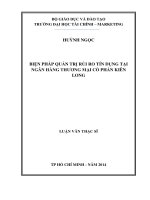 LUẬN văn THẠC sĩ BIỆN PHÁP QUẢN TRỊ rủi RO tín DỤNG tại NGÂN HÀNG THƯƠNG mại cổ PHẦN KIÊN LONG 