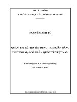 QUẢN TRỊ rủi RO tín DỤNG tại NGÂN HÀNG THƯƠNG mại cổ PHẦN QUỐC tế VIỆT NAM 