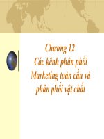 Marketing toàn cầu chương 12 các kênh phân phối marketing toàn cầu và phân phối vật chất 