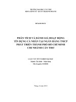 phân tích và đánh giá hoạt động tín dụng cá nhân tại ngân hàng tmcp phát triển thành phố hồ chí minh chi nhánh cần thơ