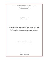 Cải biến gen mã hóa enzyme phytase từ nấm mốc Aspergillus niger nhằm tăng khả năng hồi tính của phytase sau khi bị biến tính ở nhiệt độ cao