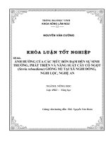 Ảnh hưởng của các mức bón đạm đến sự sinh trưởng, phát triển và năng suất cây cỏ ngọt (Stevia rebaudiana bertoni) giống M2 tại xã Nghi Đồng, Nghi Lộc, Nghệ An