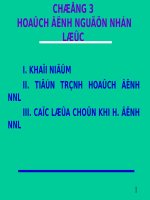 Hạch định trong quản trị nguồn nhân lực 