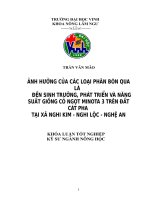 Ảnh hưởng của các loại phân bón qua lá đến sinh trưởng, phát triển và năng suất giống cỏ ngọt Minota 3 trên đất cát pha tại xã Nghi Kim  Nghi Lộc  Nghệ An