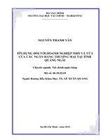 TÍN DỤNG đối với DOANH NGHIỆP NHỎ và vừa của các NGÂN HÀNG THƯƠNG mại tại TỈNH QUẢNG NGÃI 