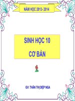 Bài 7 tế bào nhân sơ