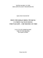 phân tích hoạt động tín dụng cá nhân tại ngân hàng tmcp sài gòn, chi nhánh cần thơ