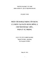 phân tích hoạt động tín dụng cá nhân tại ngân hàng đông á chi nhánh bạc liêu, pgd lý tự trọng