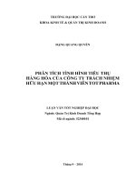 phân tích tình hình tiêu thụ hàng hóa của công ty trách nhiệm hữu hạn một thành viên tot pharma