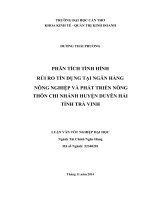 phân tích tình hình rủi ro tín dụng tại ngân hàng nông nghiệp và phát triển nông thôn chi nhánh huyện duyên hải tỉnh trà vinh