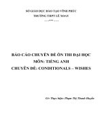 CHUYÊN đề CONDITIONALS – WISHES 