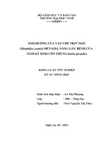 Ảnh hưởng của vật chủ mọt ngô (Sitophilus zeamis) đến khả năng gây bệnh của nấm ký sinh côn trùng Isaria javanica