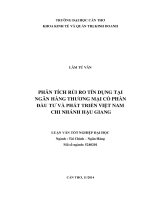 phân tích rủi ro tín dụng tại ngân hàng thương mại cổ phần đầu tư và phát triển việt nam chi nhánh hậu giang