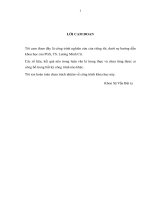 Luận văn thạc sĩ  thu hút đầu tư nước ngoài vào phát triển nông nghiệp tỉnh champasak 