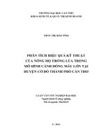 phân tích hiệu quả kỹ thuật của nông hộ trồng lúa trong mô hình cánh đồng mẫu lớn tại huyện cờ đỏ thành phố cần thơ