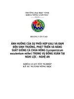 Ảnh hưởng của sự phối hợp kali và đạm đến sinh trưởng, phát triển và năng suất giống cà chua hồng trong vụ Đông xuân tại Nghi Lộc  Nghệ An: Luận văn tốt nghiệp Đại học  Hoàng Văn Tao; Nghd.: ThS. Nguyễn Hữu Hiền.  Nghệ An: Đại học Vinh , 2012.  51 tr. ; 3