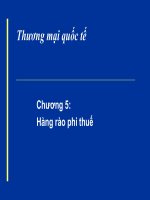Bài giảng thương mại quốc tế chương 5 hàng rào phi thuế  