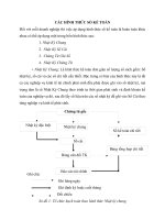CÁC HÌNH THỨC GHI SỔ KẾ TOÁN TRONG BÁO CÁO THỰC TẬP KẾ TOÁN